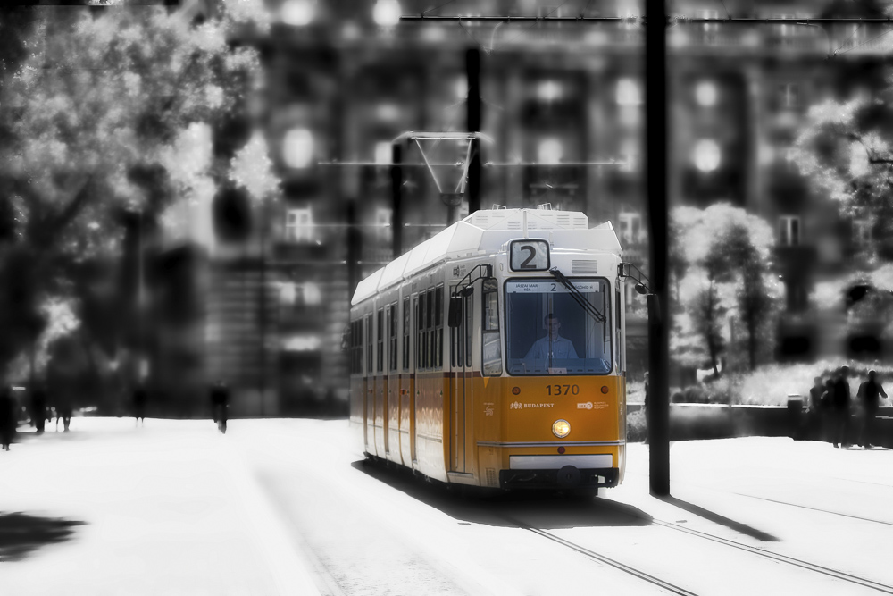 Platz 10 Harald Unglert